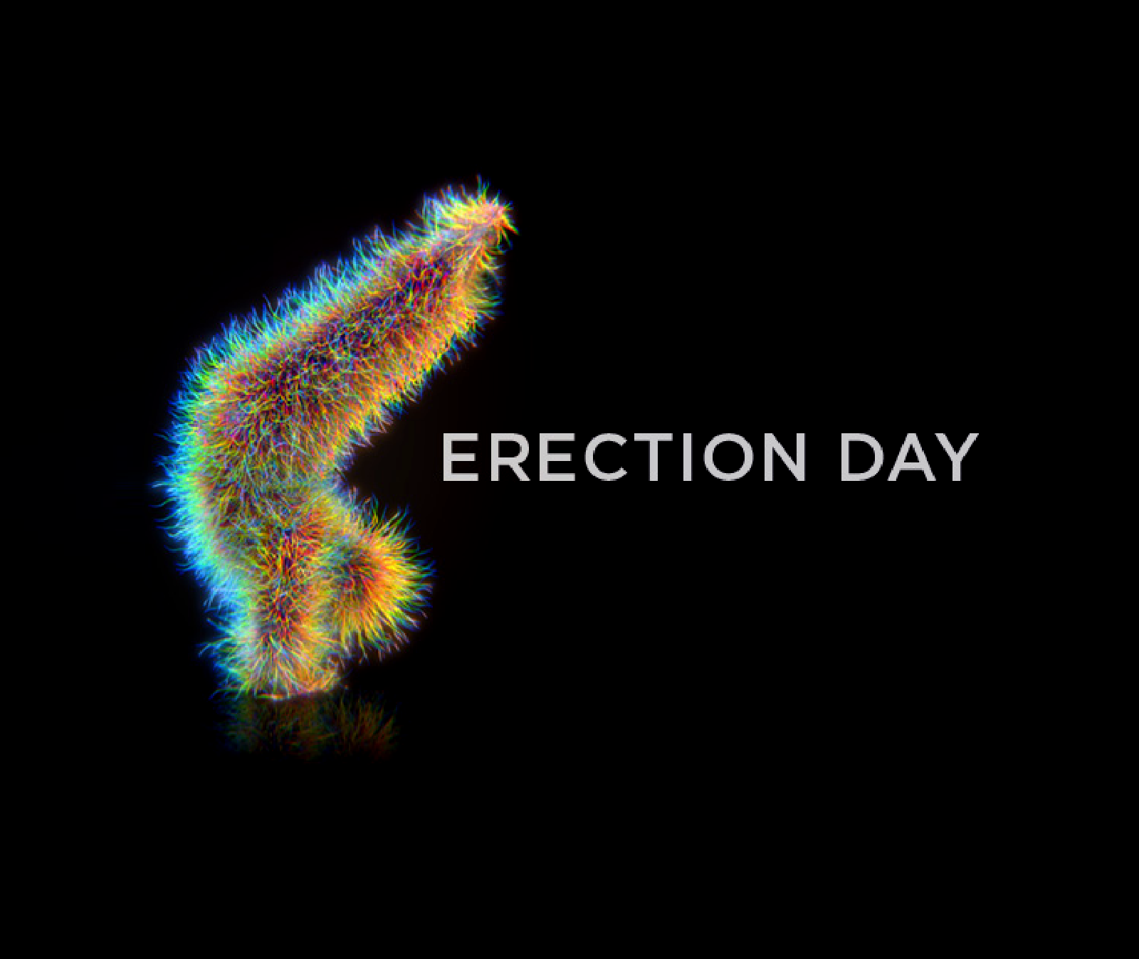 Tag der Erektion - Awareness Kampagne