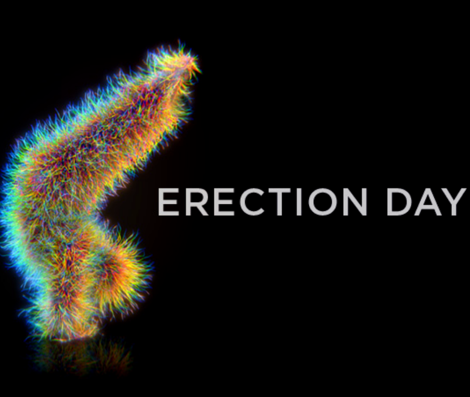 Tag der Erektion - Awareness Kampagne