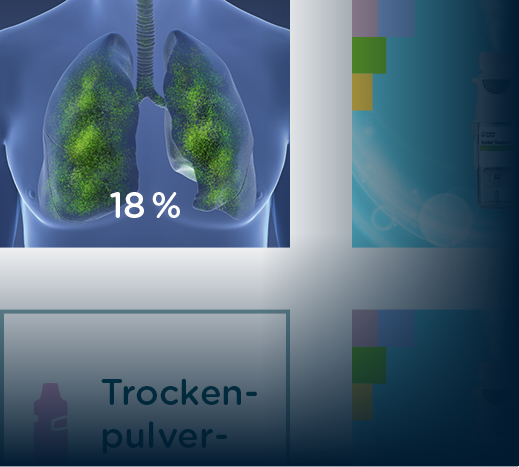 havas-life-bird-und-schulte-credentials-omnichannel-campaign-snippet