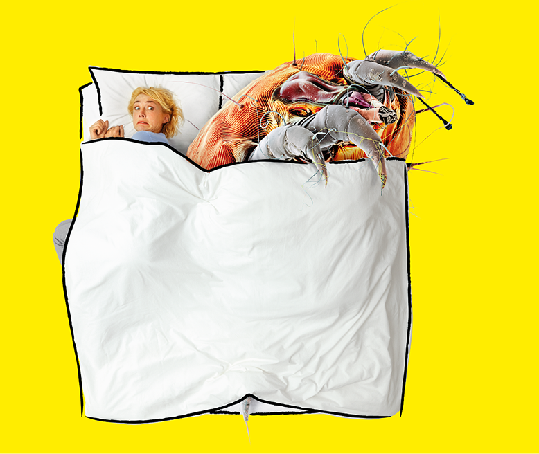 havas-life-bird-und-schulte-home-credentials-1