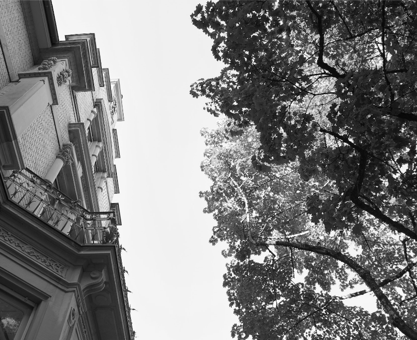 Unsere schöne Villa in Freiburg aus der Froschperspektive